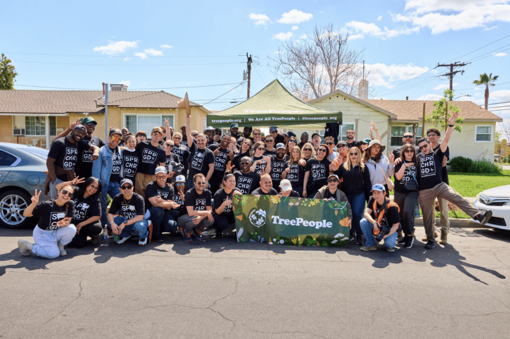 paying attention and taking action with tree people